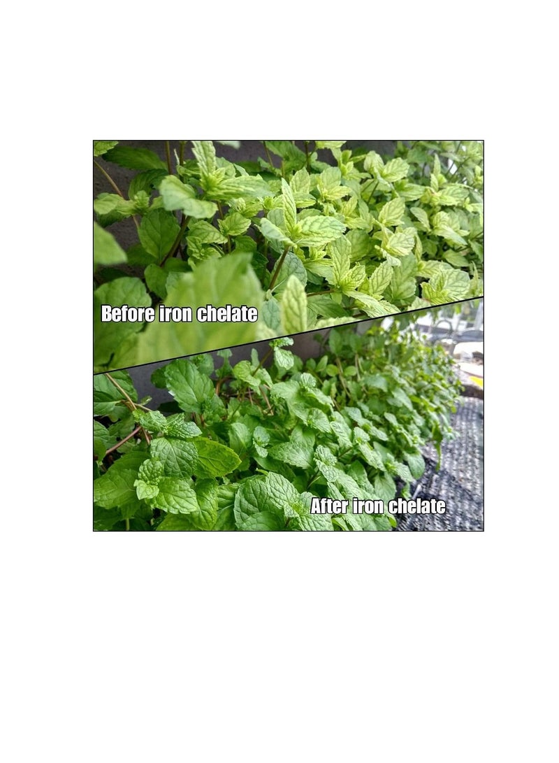 مابكو شيلات الحديد لتصحيح نقص الحديد في النباتات | 1 كغ - Image 3