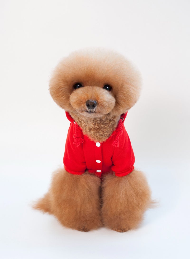 Loquat Pet dog hoodie with a hat Red - Image 1