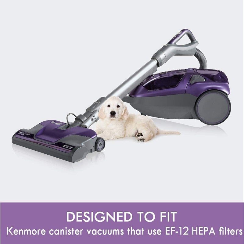 Kenmore فلتر هواء العادم لفراغ كينمور 62731 HEPA ميديا لفراغ الكانستر 81615 - Image 2