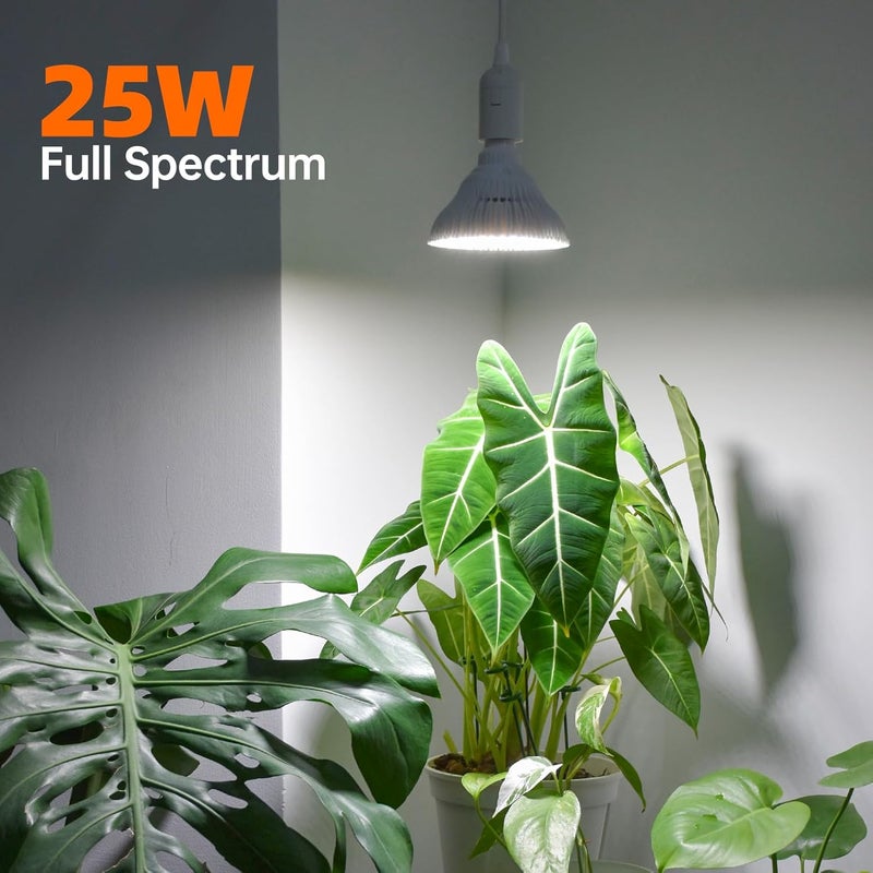 Bstrip Hanging Grow Lights for Indoor Plants, 25W Full Spectrum, White Plant Light Bulb with Timer, 16.4FT Power Cord, 5000K, Pendant or Ceiling Installation, Perfect for Tall Plants, and Plant Shelf - Image 3
