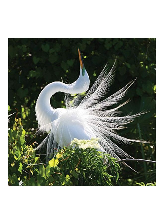 Strathmore Photo Mount Cards, White with Decorative Border, 5x6.875 inches, 50 Pack, Envelopes Included - Blank Greeting Cards for Weddings, Events, Birthdays - Image 3