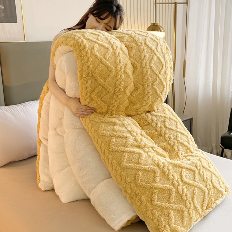 Winter Taffeta Quilt Core Milk Velvet Quilt Double-Sided Velvet Winter Quilt Warm Lamb Velvet Spring & Fall Quilt Cotton Bedding Antibacterial - Image 4