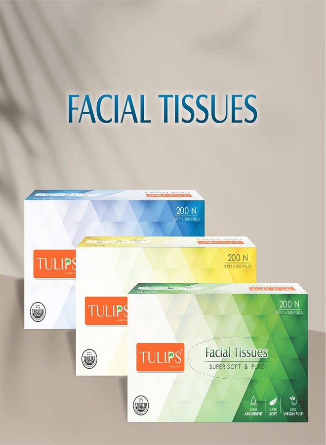 Tulips Facial Dry Tissue Paper - Super Soft, Super Absorbent & 100% Pure | 2-Ply x 200 Pulls | Gentle, Durable & Travel-Friendly Tissue for Home, Car & Office (Pack of 2) - Image 2