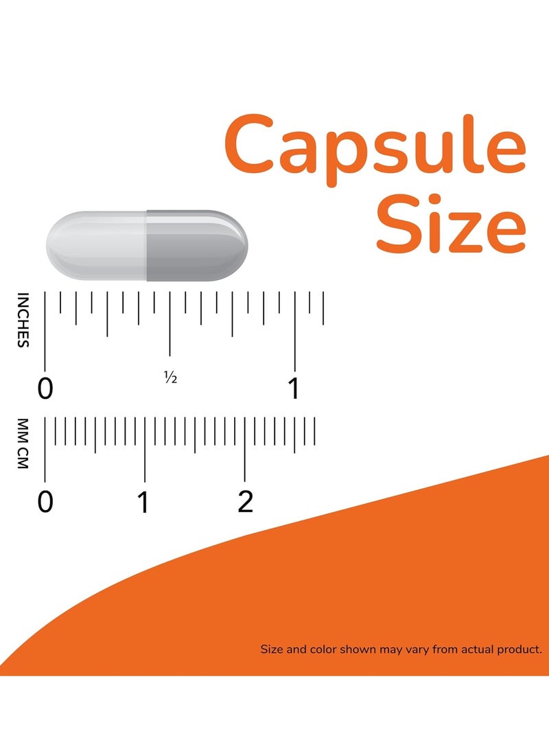 now L-Arginine 500 Mg Amino Acids - Supports Muscle Tissue Repair and Recovery 250 Capsules - Image 5