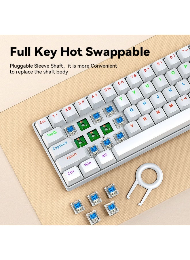 T-WOLF T60 green axis 61 key mechanical keyboard with 17 RGB backlit ultra compact mini keyboards, Type-C key cable separation, full key hot swappable 60% wired gaming keyboard, suitable for PC/Mac esports gamers, business travel portable keyboard (white) - Image 4