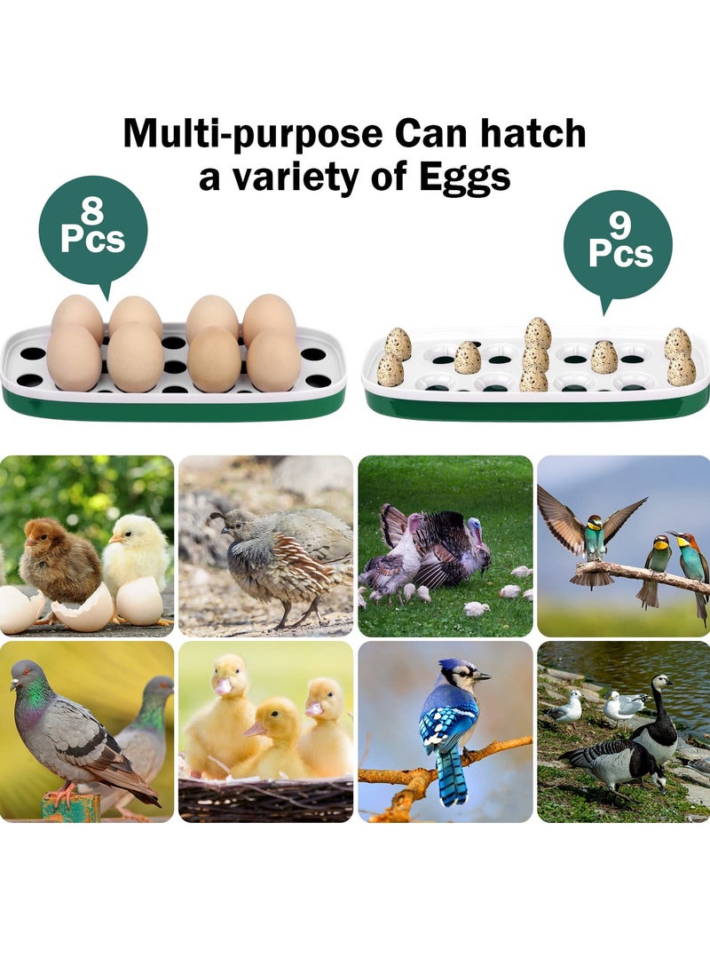Generic - Mini Egg Incubator for 8 Eggs with Humidity and Temperature Control for Hatching Chicks, Quail, Duck, Goose and Bird Eggs - Image 1