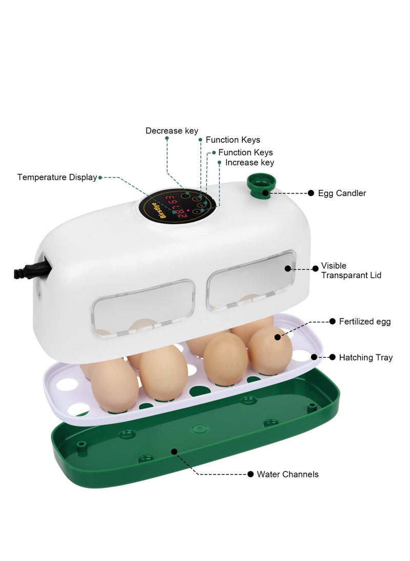 Generic - Mini Egg Incubator for 8 Eggs with Humidity and Temperature Control for Hatching Chicks, Quail, Duck, Goose and Bird Eggs - Image 1