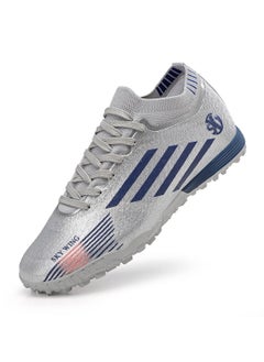 Silver-2