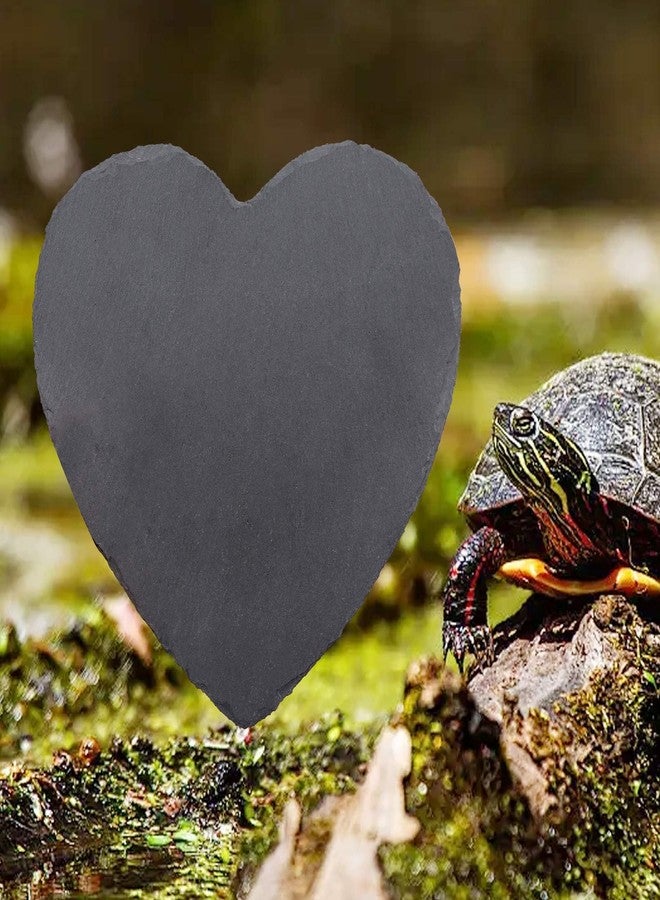 Oooct Reptile Basking Platform, 7.9 × 7.9 inch Cute Heart Natural Rock Reptile Food Dish, Turtle Feeding Bowl, Habitat Decor for Bearded Dragon Chameleon Frog Lizard Gecko Hermit Crab - Image 5