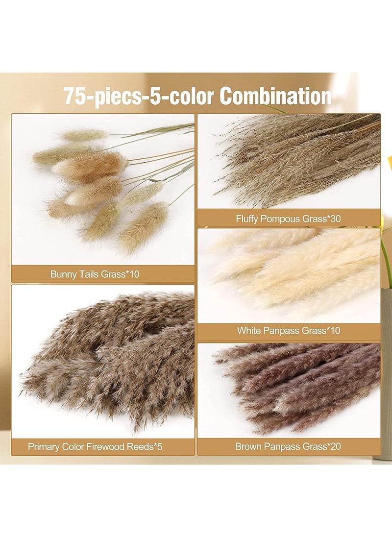 Generic 75 Pcs Dried Pampas Grass Dried Flowers Of Small Reeds Boho Natural Flowers Arrangements White Reed Bunny Tails for Home Decor Flower Living Room Balcony Wedding Party 