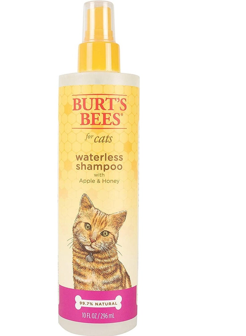 بيرتس بيز Burt's Bees for Pets For Cats Natural Waterless Shampoo with Apple and Honey | Cat Waterless Shampoo Spray, 10 Ounces - Image 1