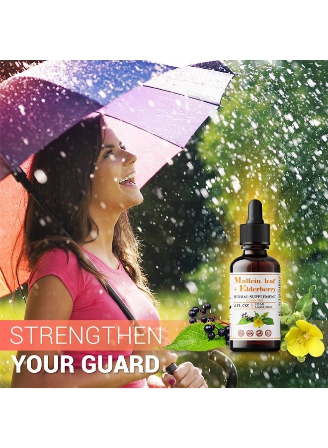 FabLab Mullein Leaf Extract with Elderberry Extract 4 fl oz Supports Healthy Respiratory Function & Immune System Organic Mullein Lung Cleanse Herbal Supplement