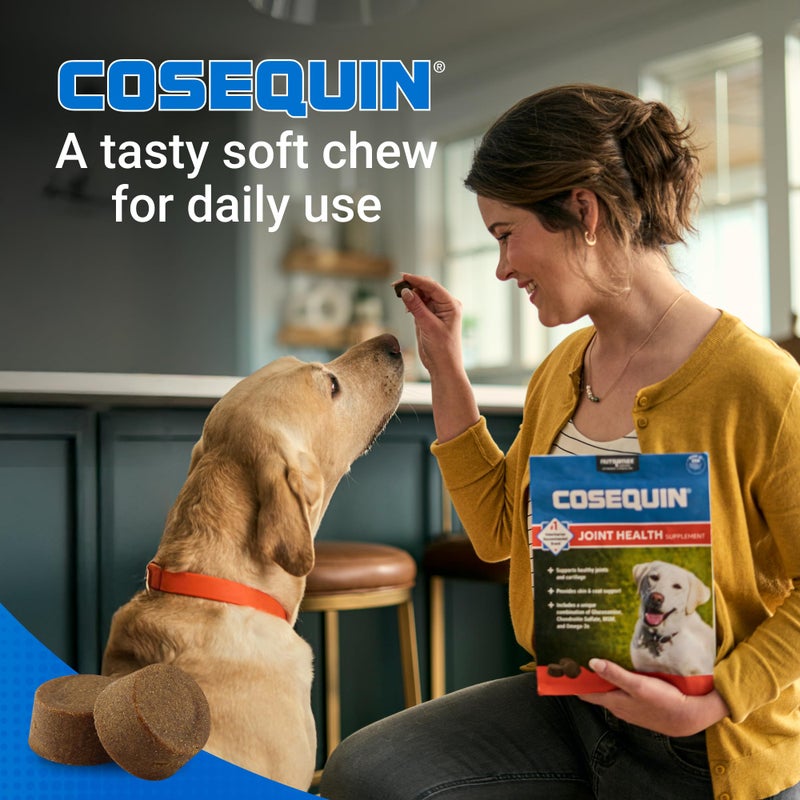 Nutramax Laboratories Nutramax Cosequin for Dogs Joint Health Supplement, Contains Glucosamine, Plus Chondroitin, MSM and Omega-3s, Supports Joint and Skin and Coat Health, Soft Chews, 120 Count - Image 4