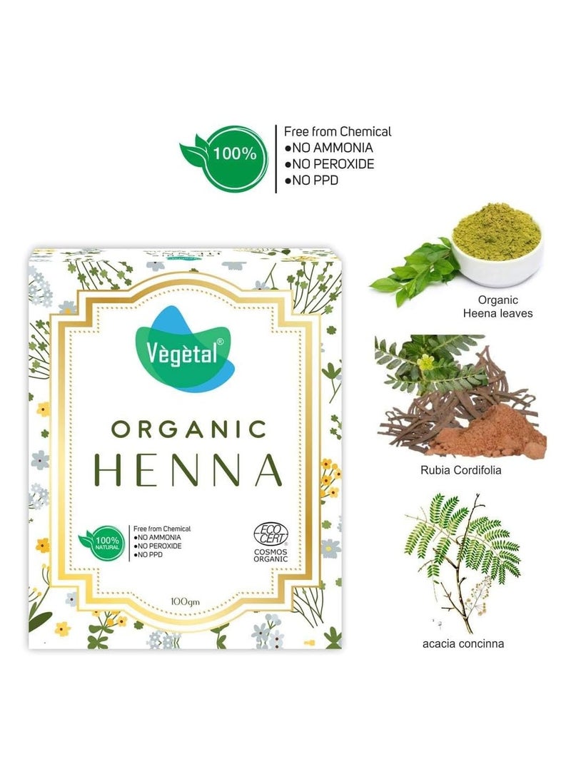 Vegetal Certified Organic and Herbal Henna Powder, for Natural Hair Coloring, Prevent Early Greying & Protects hair Damage from Chemical Hair Color - 100g - Image 3