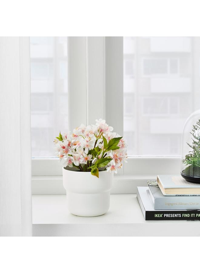 Zaboon Plant pot, in/outdoor white, 9 cm - Image 4