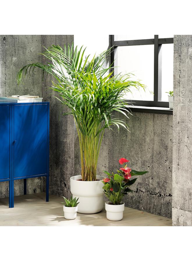 Zaboon Plant pot, in/outdoor white, 9 cm - Image 3