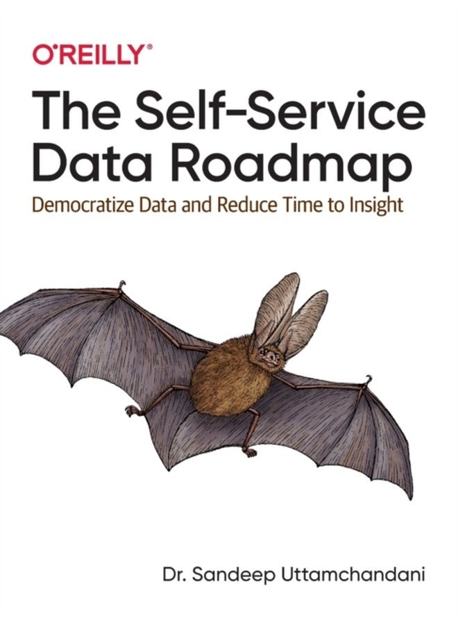 The Self Service Data Roadmap Democratize Data and Reduce Time to Insight - Paperback