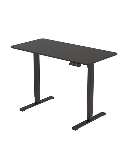 Essential Standing Desk, FLEXISPOT Height Adjustable Standing Desk with Memory Controller, 120*60cm desktop, Electric Sit Stand Desk for Home and Office, Black