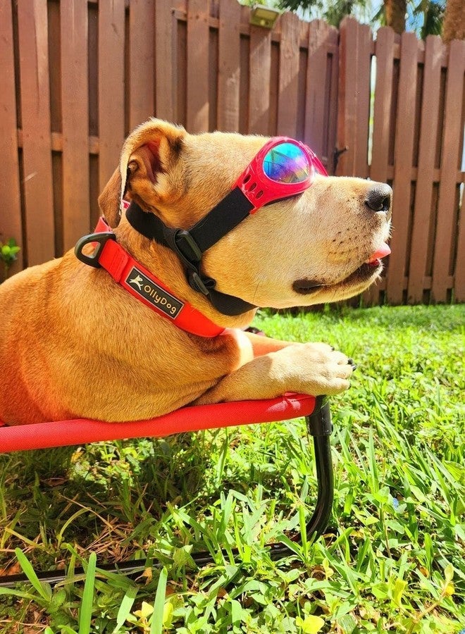 OllyDog طوق OllyDog Tilden، طوق مقاوم للماء للكلاب مع مشبك سريع الفتح، حزام منسوج مقاوم للروائح، طوق خفيف الوزن للكلاب الكبيرة والمتوسطة والصغيرة (صغير، أحمر) - Image 3