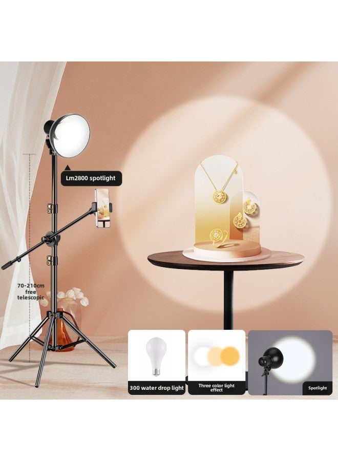 Special Hair Lamp In The Live Broadcast Room Live Overhead Atmosphere Spotlight Gods Girl Hair Lamp Contour Fill Light-Specifications:Special Spotlight LM2800 (three-color Dimming) 2m Floor-to-floor Overhead Bracket  - Image 1