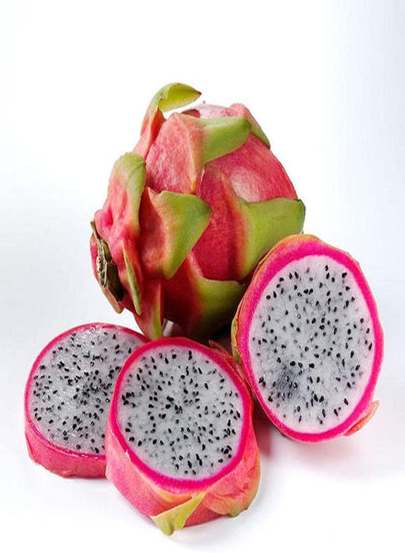 GGOOT 100Pcs Pitaya Seeds Dragon Fruit White Pulp Cactus Fruit Easy to Plant Indoors Outdoors Evergreen Decorated Garden Strong Adaptability - Image 2