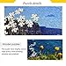 Oarencol Cliffs of Moher Ireland Landscape Jigsaw Puzzle 500 Pieces Puzzles for Adults - Image 4