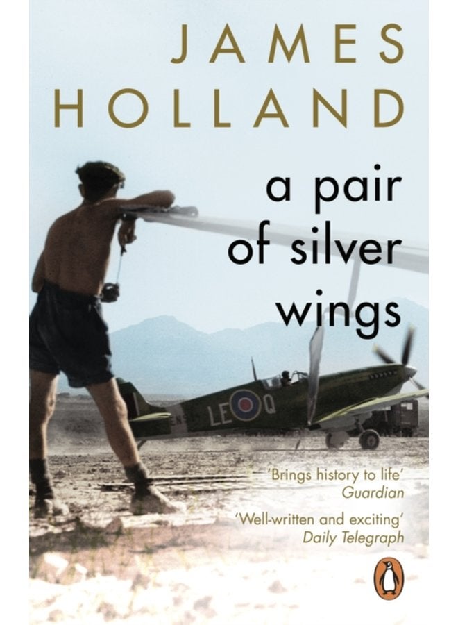 A Pair of Silver Wings - Paperback