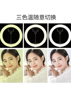 Y&D 10-inch LED Ring Light Dimmable with Tripod Stand Cell Phone Holder Desktop, Nicefoto Mini Camera Lighting for Live Streaming/Makeup/YouTube Video/Photography, Lamp 3 Modes  - Image 2