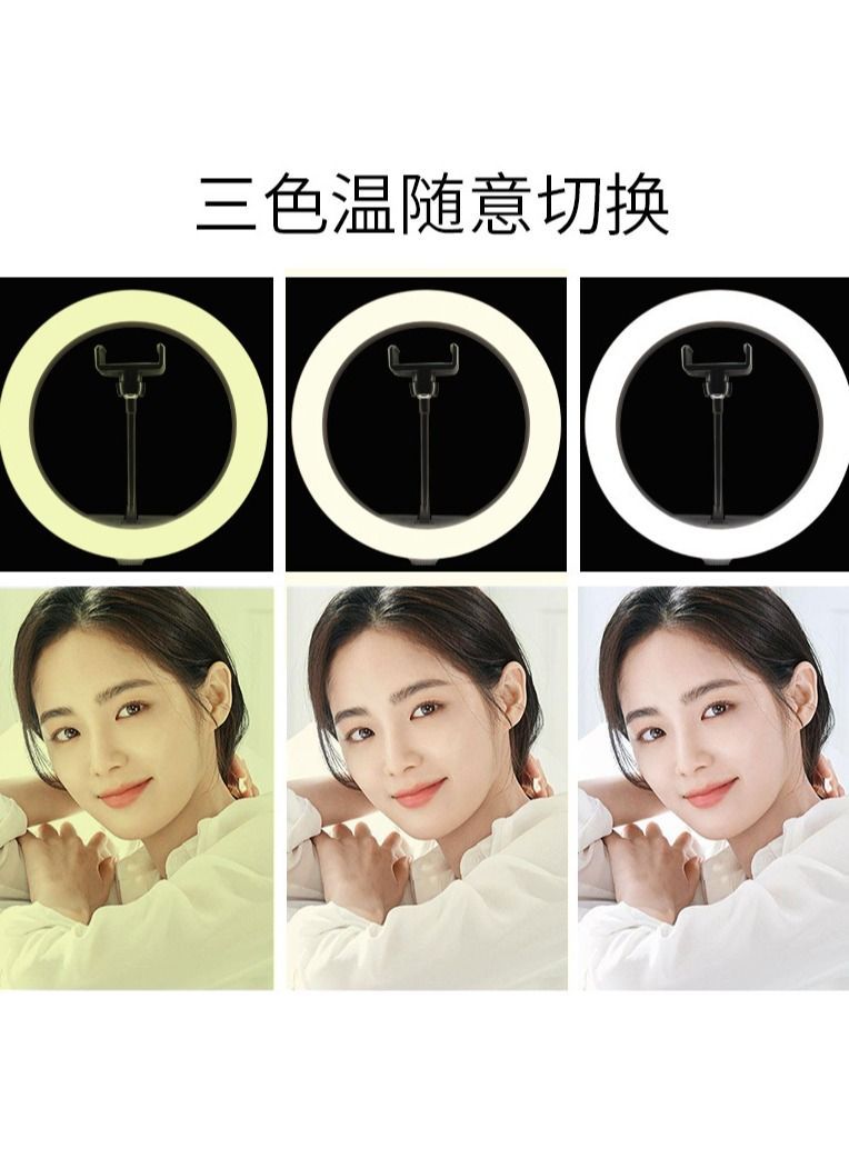 Y&D 10-inch LED Ring Light Dimmable with Tripod Stand Cell Phone Holder Desktop, Nicefoto Mini Camera Lighting for Live Streaming/Makeup/YouTube Video/Photography, Lamp 3 Modes  - Image 2