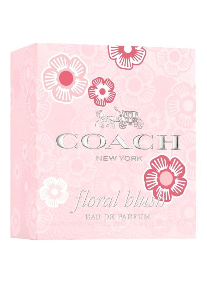 كوتش ماء عطر ملورا بلش 50ملليلتر - Image 3