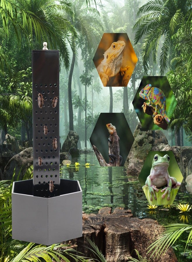 Neeenn Chameleon Feeding Bowl, Hanging Black Acrylic Bearded Dragon Feeder with Column for Insects to Climb, Reptile Tank Aquarium Accessories for Lizard Lguana Gecko Toad Frog - Image 5