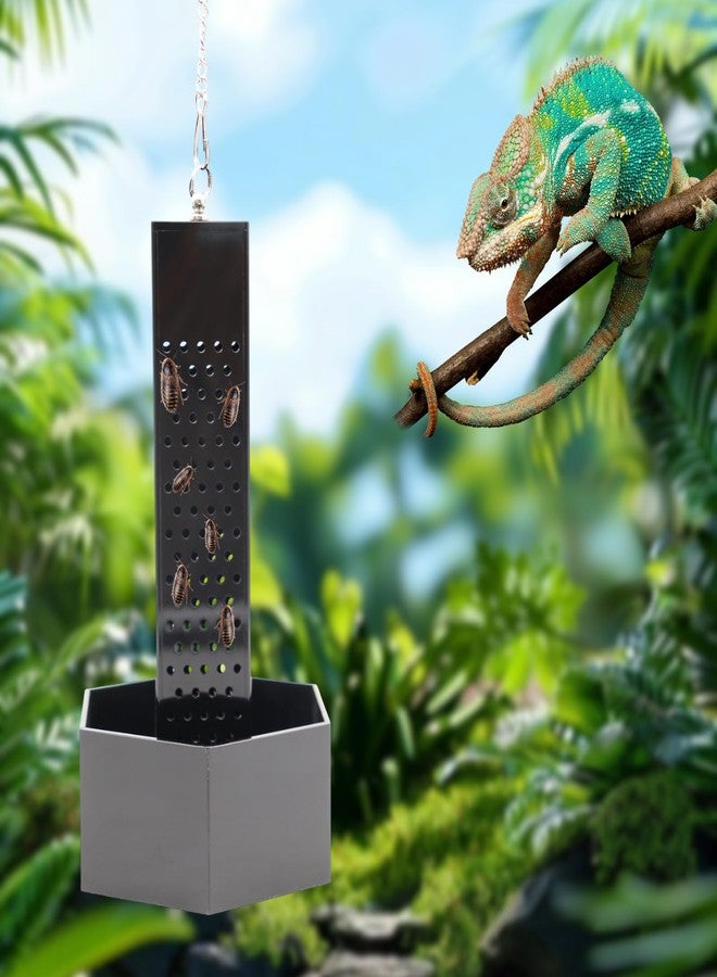 Neeenn Chameleon Feeding Bowl, Hanging Black Acrylic Bearded Dragon Feeder with Column for Insects to Climb, Reptile Tank Aquarium Accessories for Lizard Lguana Gecko Toad Frog - Image 1