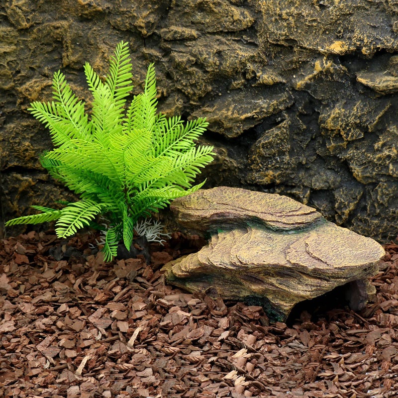relaqcc Turtle Basking Platform Shale Scape Step Ledge, Reptile Cave Hideout Turtle Tank Accessories Decorations, Great for Reptiles, Amphibians, Leopard Gecko, Bearded Dragons, Lizard, Frogs - Image 2