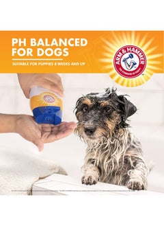 آرم آند هامر شامبو Arm & Hammer for Pets Itch Relief، برائحة البابونج والنعناع | شامبو عالي الجودة لعلاج حكة الكلاب، خالٍ من كبريتات لوريل الصوديوم والبارابين، 20 أونصة سائلة - عبوة من 6 قطع  - Image 4