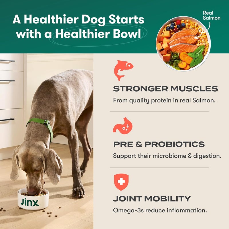 Jinx Premium Grain-Free Dry Dog Food, for All Lifestages - Real Salmon, Sweet Potato & Carrot Puppy Kibble with Superfoods for Immune Support & Probiotics for Digestive Support - No Fillers - 4lb - Image 3