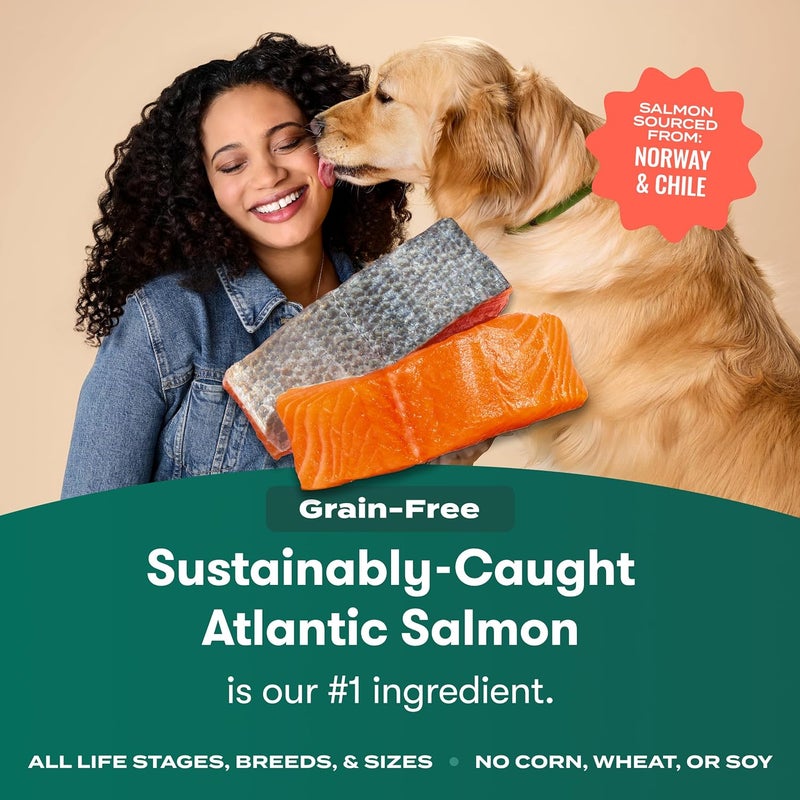 Jinx Premium Grain-Free Dry Dog Food, for All Lifestages - Real Salmon, Sweet Potato & Carrot Puppy Kibble with Superfoods for Immune Support & Probiotics for Digestive Support - No Fillers - 4lb - Image 2