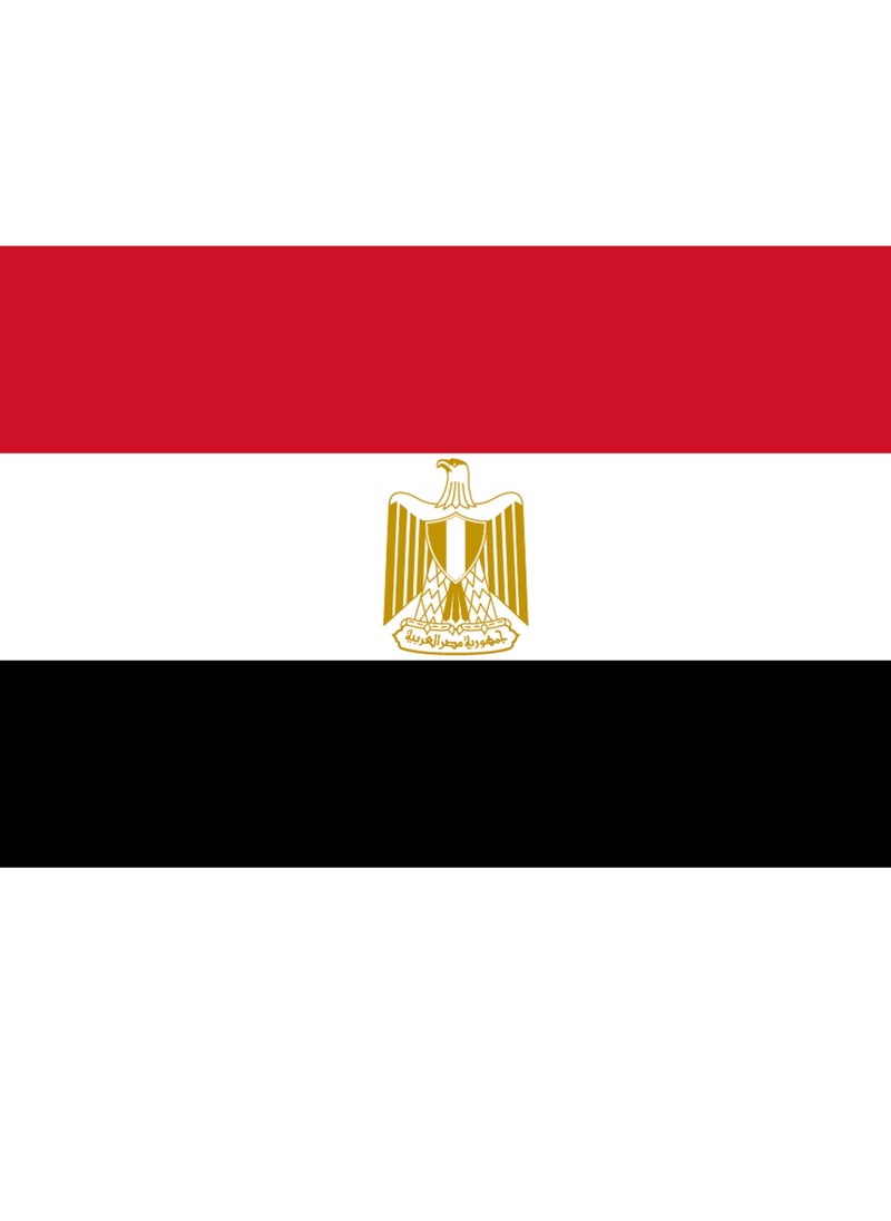 Generic - Flag of Egy pt 36×60 - Image 1