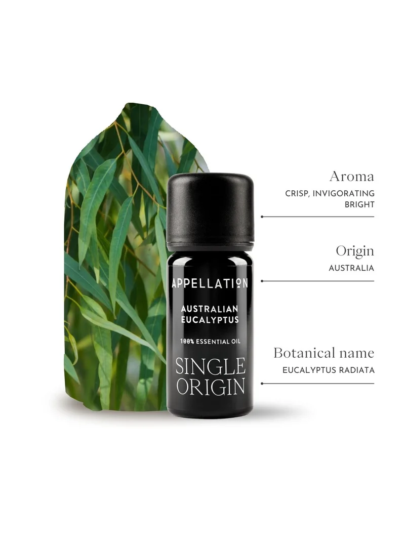 Appellation Australian Eucalyptus - Wild Plantation Essential Oil, 10ml