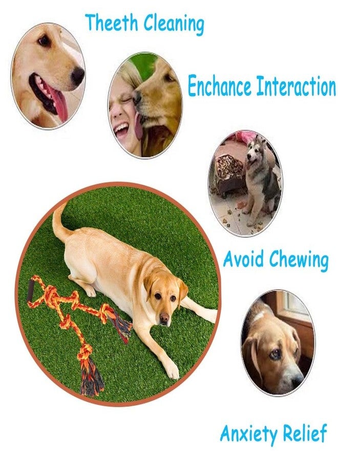Fejapa Large Dog Rope Toys for Aggressive Chewers - Pitbull Tug of War, Heavy Duty, Outdoor, Medium to Large Breed Dog Chew Rope with Handle - Image 4