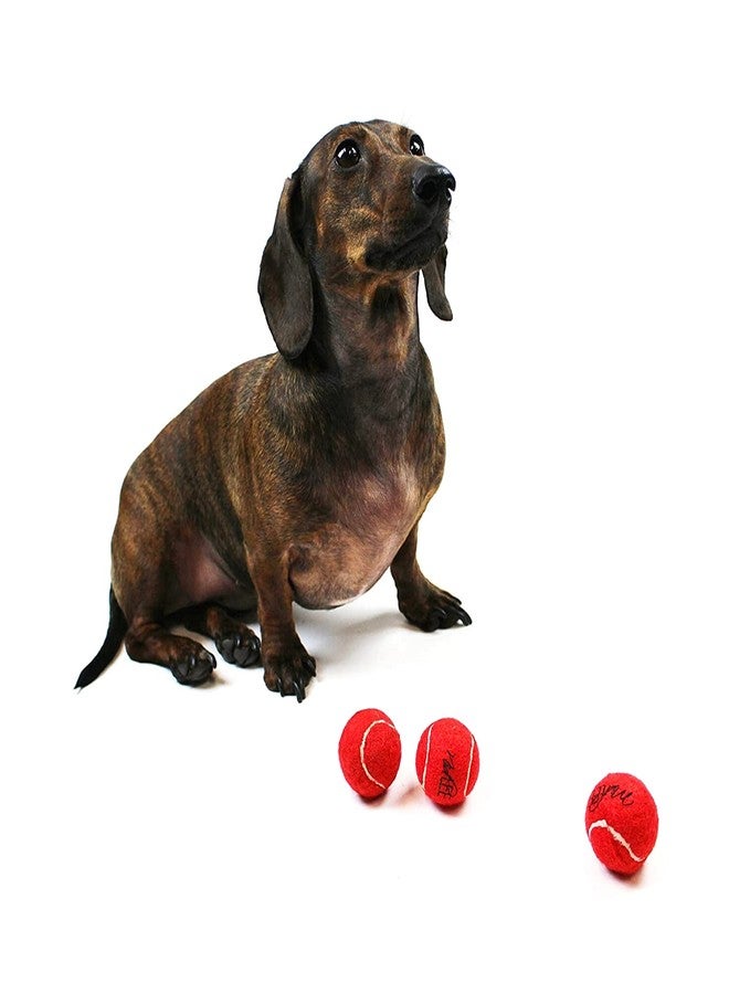 Midlee MINI Dog Tennis Balls, Red, 1.5" 12-Pack- Fetch Ball Laucher Pet Small Tennis Balls - Image 3