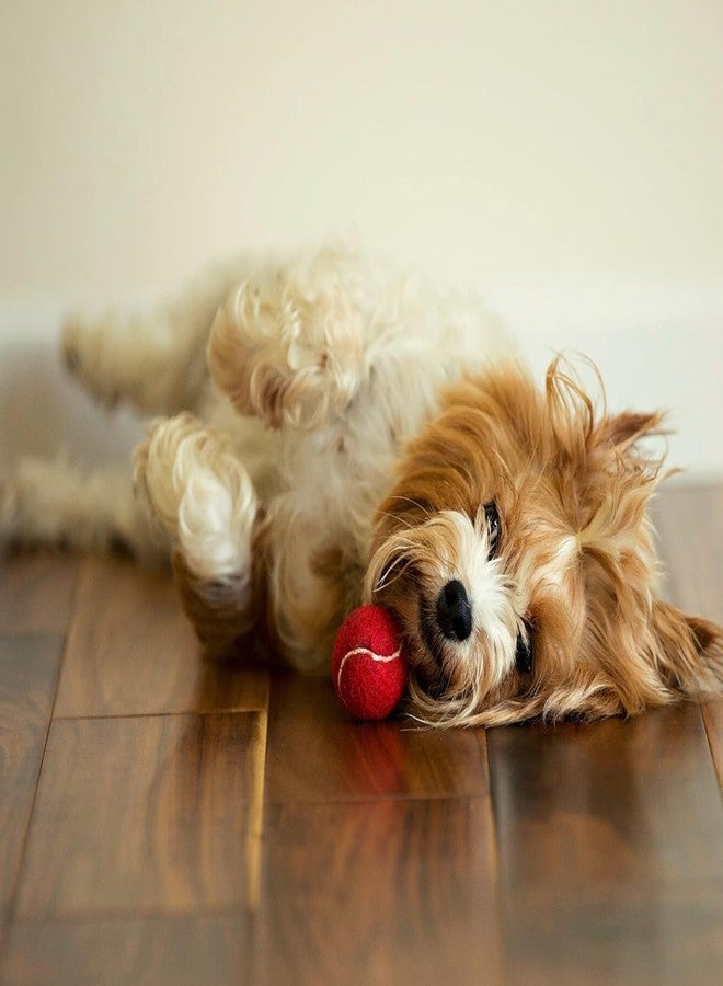 Midlee MINI Dog Tennis Balls, Red, 1.5" 12-Pack- Fetch Ball Laucher Pet Small Tennis Balls - Image 5