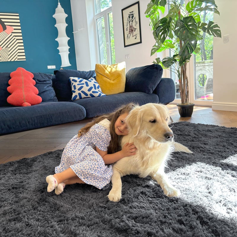 OLANLY 5x7 Machine Washable Large Area Rugs for Living Room, Bedroom, Soft Fluffy Shaggy Bedside Rug, Indoor Floor Carpet for Kids Girls and Boys, Dorms, Nursery, Home Decor Aesthetic, Grey - Image 5
