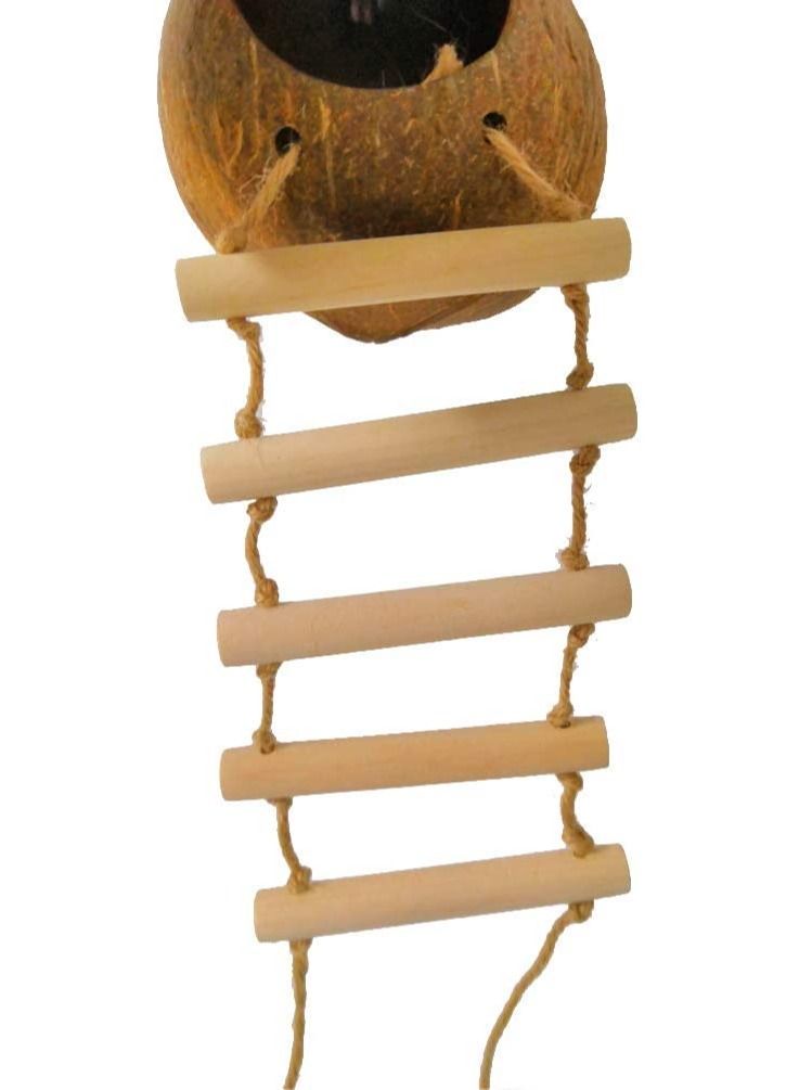 XICEN Hanging Bird House with Ladder,Natural Coconut Fiber Shell Bird Nest Breeding for Parrot Parakeet Lovebird Finch Canary,Coconut Hide Bird Swing Toys for Hamster,Bird Cage Accessories,Pet Bird Supplies - Image 4