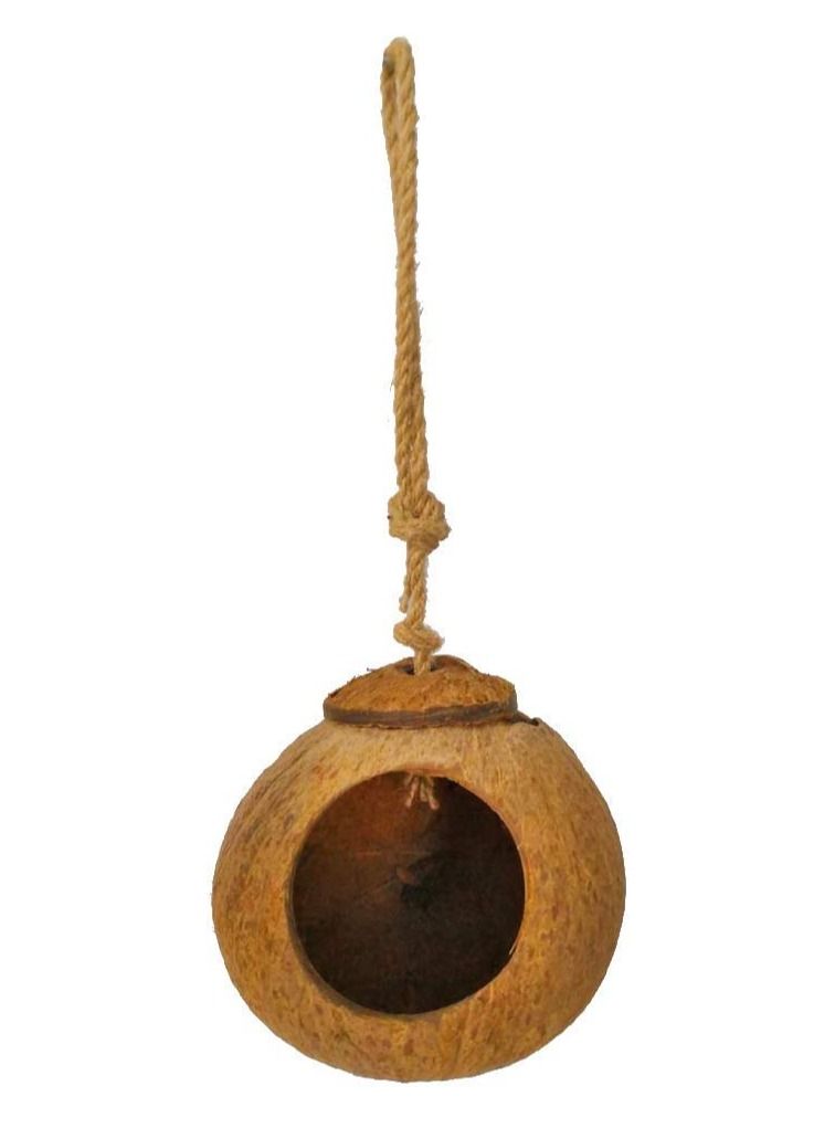 XICEN Hanging Bird House with Ladder,Natural Coconut Fiber Shell Bird Nest Breeding for Parrot Parakeet Lovebird Finch Canary,Coconut Hide Bird Swing Toys for Hamster,Bird Cage Accessories,Pet Bird Supplies - Image 5