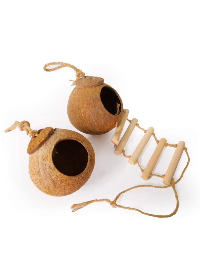 XICEN Hanging Bird House with Ladder,Natural Coconut Fiber Shell Bird Nest Breeding for Parrot Parakeet Lovebird Finch Canary,Coconut Hide Bird Swing Toys for Hamster,Bird Cage Accessories,Pet Bird Supplies - Image 2
