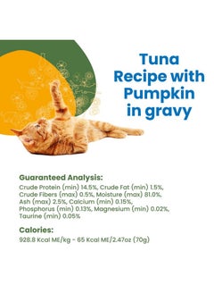 Almo Nature HQS Complete Tuna with Pumpkin In Gravy Grain, Free, Adult Cat Canned Wet Food, Flaked - pzsku/ZB72BF6885D6A939A7197Z/45/_/1737032014/a876c819-6c07-4774-b223-ec1408cab6d4