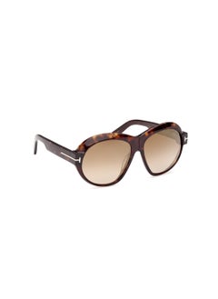 TOM FORD Women's Round Shape Acetate Sunglasses FT111352G59 Lens Size: 59 Millimeter - Dark Havana  - Image 3