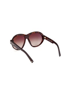 TOM FORD Women's Round Shape Acetate Sunglasses FT111352G59 Lens Size: 59 Millimeter - Dark Havana  - Image 5