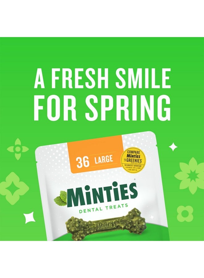 Minties Dental Chews for Dogs, 24 Count, Vet-Recommended Mint-Flavored Dental Treats for Large Dogs Over 50 lbs, Dental Bones Clean Teeth, Fight Bad Breath, and Removes Plaque and Tartar - Image 2