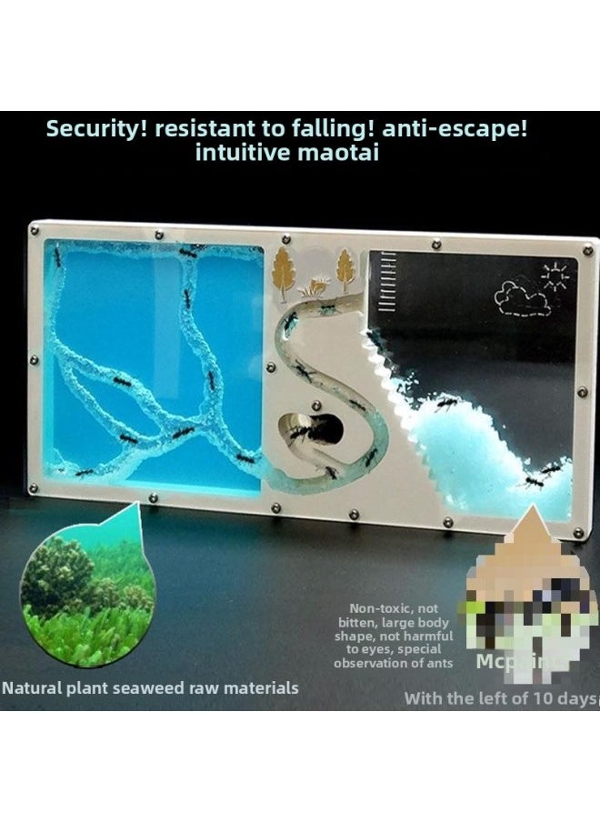 儿童观察蚂蚁士兵城堡 活体蚂蚁养殖箱专用饲养盒 送蚁后繁麦太保-颜色:白色沙巢—不含蚂蚁  - Image 5